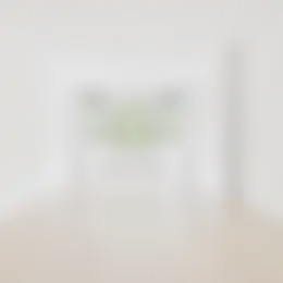 Appartement Foto #0 te huur bij Huurstunt