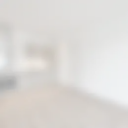 Foto #1 Appartement Hobbemakade Amsterdam