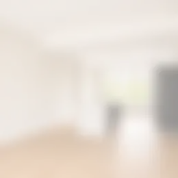 Foto #3 Appartement Hobbemakade Amsterdam