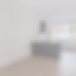 Foto #4 Appartement Theresiastraat Den Haag