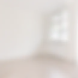 Foto #12 Appartement Theresiastraat Den Haag