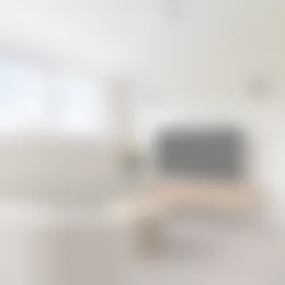 Foto #1 Appartement P. Hans Frankfurthersingel Amsterdam