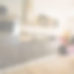 Appartement Foto #0 te huur bij Huurstunt