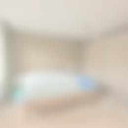 Foto #9 Huurwoning Bart van der Leckplantsoen Amsterdam