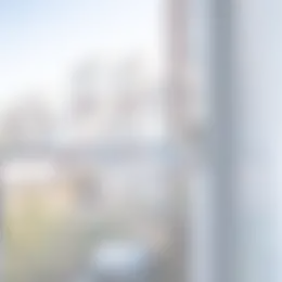 Foto #23 Appartement Goudenregenstraat Den Haag