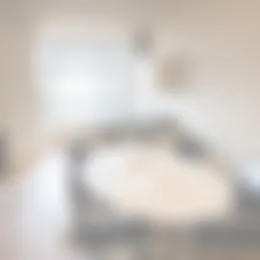 Foto #16 Appartement Goudenregenstraat Den Haag