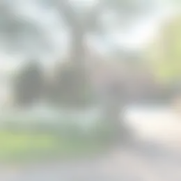 Appartement Foto #0 te huur bij Huurstunt