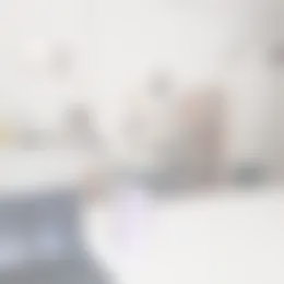 Kamer Foto #0 te huur bij Huurstunt