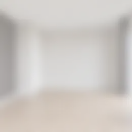 Foto #11 Appartement Waalbandijk Nijmegen