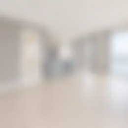 Foto #3 Appartement Waalbandijk Nijmegen