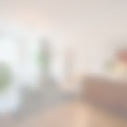 Appartement Foto #0 te huur bij Huurstunt
