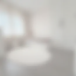 Foto #17 Huurwoning Goudmijn Rhoon
