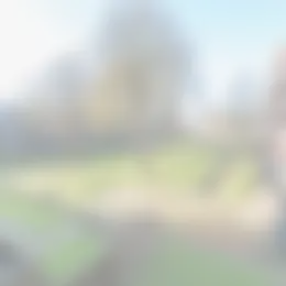 Appartement Foto #0 te huur bij Huurstunt