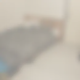 Kamer Foto #0 te huur bij Huurstunt