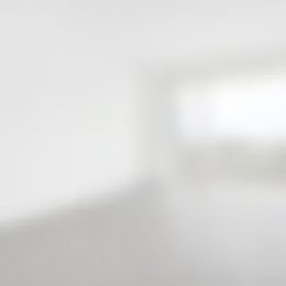 Appartement Foto #0 te huur bij Huurstunt