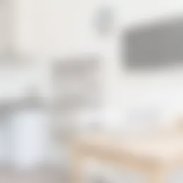 Studio Foto #0 te huur bij Huurstunt