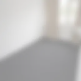 Foto #5 Kamer Kerspellaan Emmen