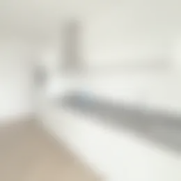 Foto #4 Appartement Volmerlaan Rijswijk