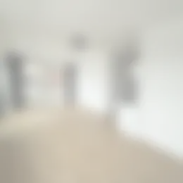 Foto #3 Appartement Volmerlaan Rijswijk