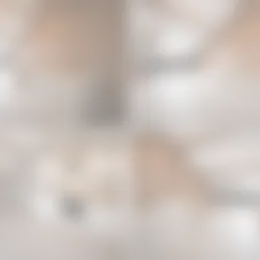 Studio Foto #0 te huur bij Huurstunt