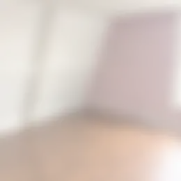 Kamer Foto #0 te huur bij Huurstunt