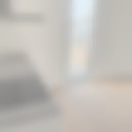 Studio Foto #0 te huur bij Huurstunt