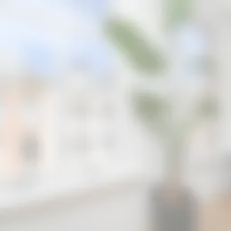 Foto #8 Appartement van Galenstraat Den Haag