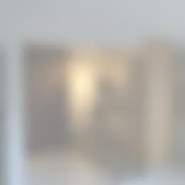 Foto #4 Appartement Brugstraat Roosendaal