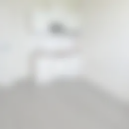 Kamer Foto #0 te huur bij Huurstunt