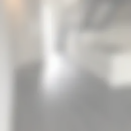 Appartement Foto #0 te huur bij Huurstunt