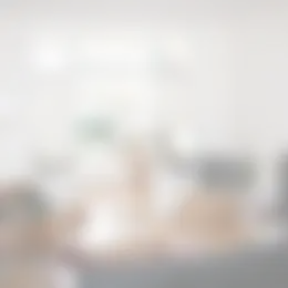 Appartement Foto #0 te huur bij Huurstunt