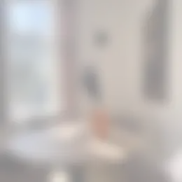 Appartement Foto #0 te huur bij Huurstunt