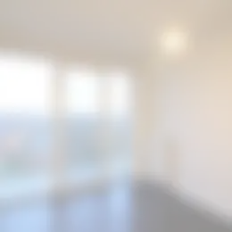 Foto #9 Appartement Dirigentplein Eindhoven