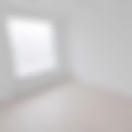 Foto #3 Appartement Lassusstraat Eindhoven