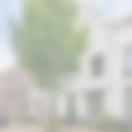 Huurwoning Foto #0 te huur bij Huurstunt