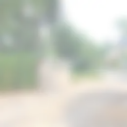 Huurwoning Foto #0 te huur bij Huurstunt