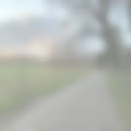 Foto #39 Huurwoning Koningin Emmaweg Vrouwenpolder