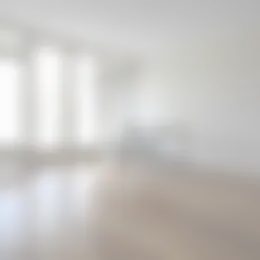Foto #2 Appartement Raesbergenstraat Gouda