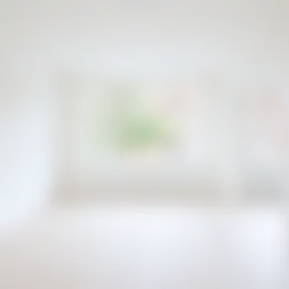 Appartement Foto #0 te huur bij Huurstunt