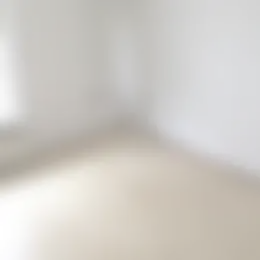 Foto #5 Appartement Helenius de Cockplein Kampen