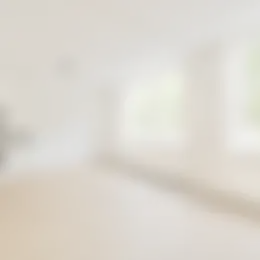 Appartement Foto #0 te huur bij Huurstunt