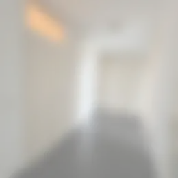 Foto #16 Appartement Steenvoordelaan Rijswijk