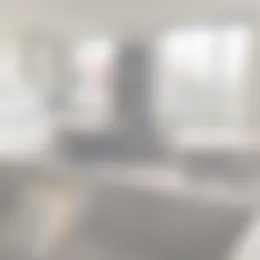 Foto #3 Appartement Hallehuis Voorthuizen