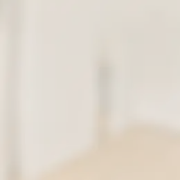 Foto #14 Appartement Berkenrodelaan Amstelveen