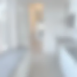 Foto #6 Appartement Geestbrugweg Rijswijk