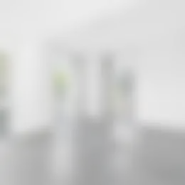 Foto #9 Huurwoning Veenerf Nijkerkerveen