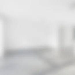 Foto #15 Huurwoning Veenerf Nijkerkerveen