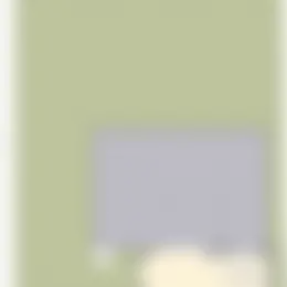 Foto #56 Huurwoning Zwanenburgerdijk Vijfhuizen