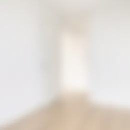 Foto #10 Appartement Onacklaan Capelle aan den IJssel