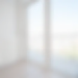 Foto #13 Appartement Thomsonlaan Den Haag